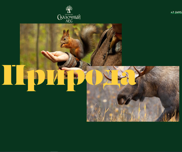 橫向的滑動(dòng)頁(yè)面