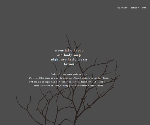 首頁的自然風格